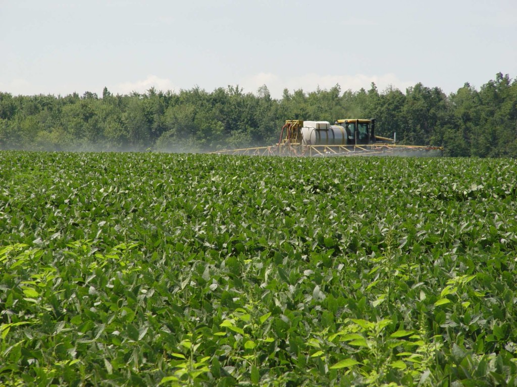 Taking Down Spray Drift CropLife